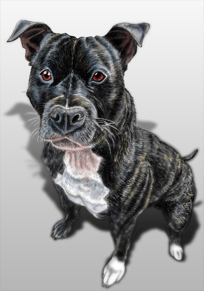 Puppy Tyson caricature