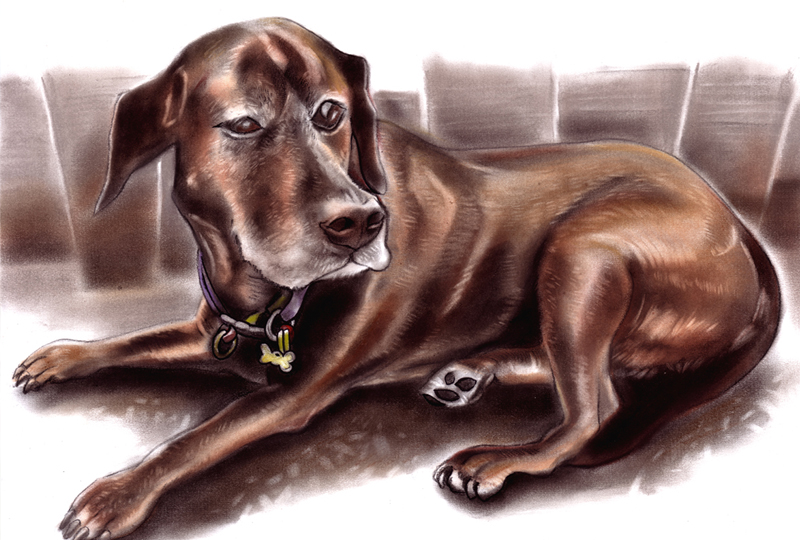 Dog Chilli caricature